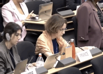 HRC60：法国常驻联合国代表团在9月9日议题2一般性辩论中发言内容